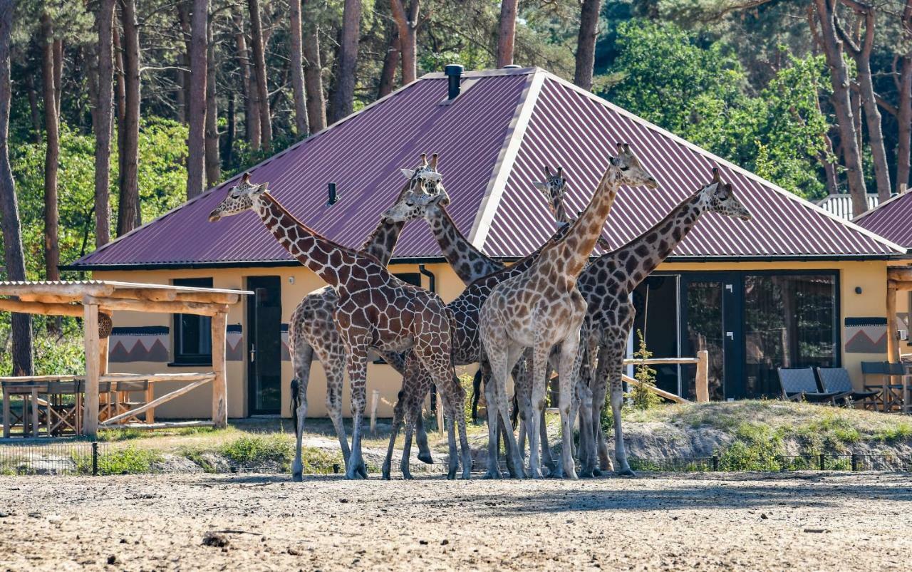 Safari Resort Beekse Bergen Hilvarenbeek Exterior photo